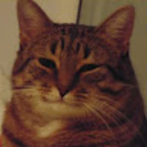 Meet your Posher, Mama